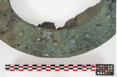 Foto von Bronzebreitrandschale (NHMW-PRAE-025899)